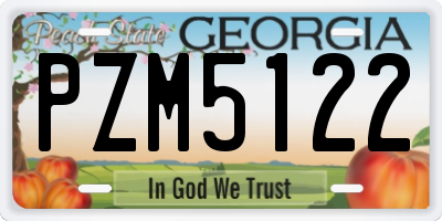 GA license plate PZM5122
