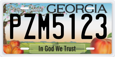 GA license plate PZM5123