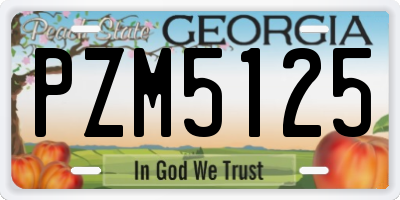 GA license plate PZM5125