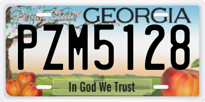 GA license plate PZM5128