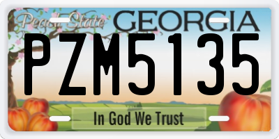 GA license plate PZM5135