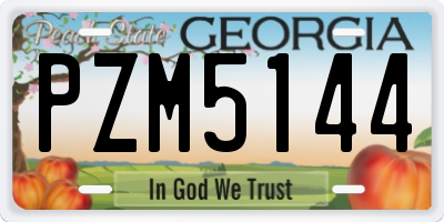 GA license plate PZM5144