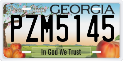 GA license plate PZM5145