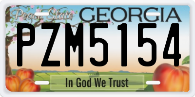 GA license plate PZM5154