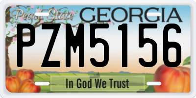 GA license plate PZM5156