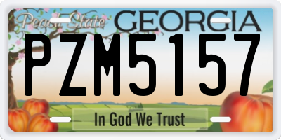 GA license plate PZM5157