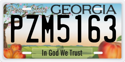 GA license plate PZM5163