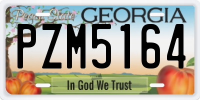 GA license plate PZM5164