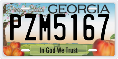 GA license plate PZM5167