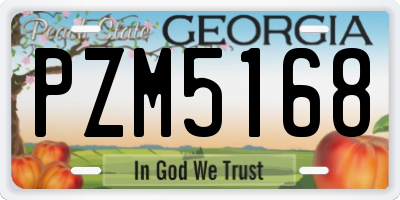 GA license plate PZM5168