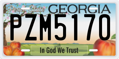 GA license plate PZM5170