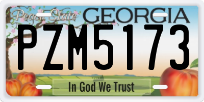 GA license plate PZM5173