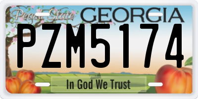 GA license plate PZM5174