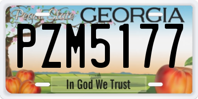 GA license plate PZM5177