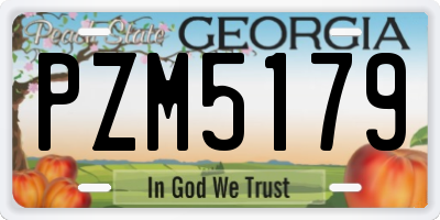 GA license plate PZM5179