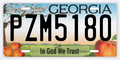 GA license plate PZM5180
