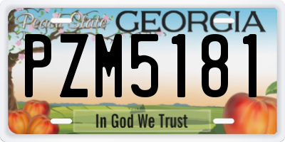 GA license plate PZM5181