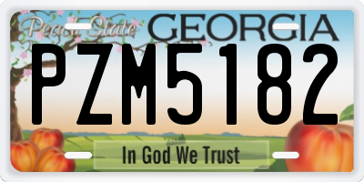 GA license plate PZM5182
