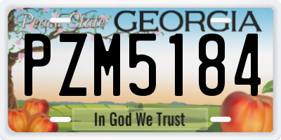 GA license plate PZM5184