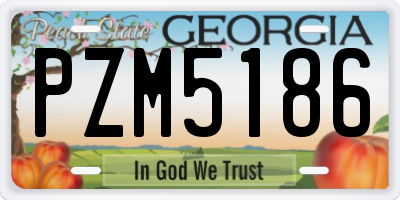 GA license plate PZM5186