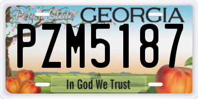 GA license plate PZM5187