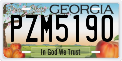 GA license plate PZM5190