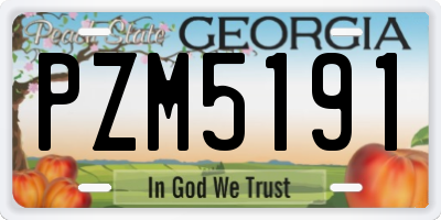 GA license plate PZM5191