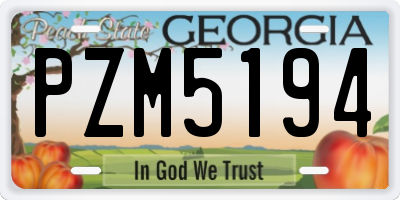 GA license plate PZM5194