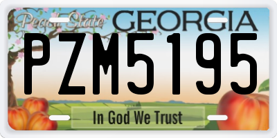 GA license plate PZM5195