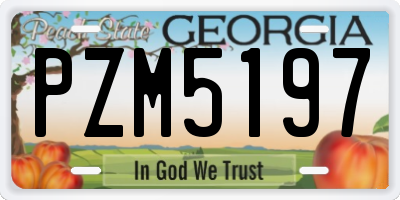 GA license plate PZM5197