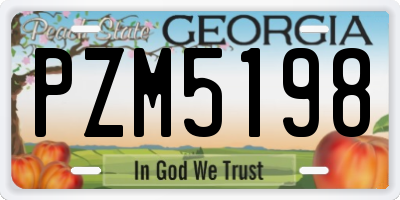 GA license plate PZM5198
