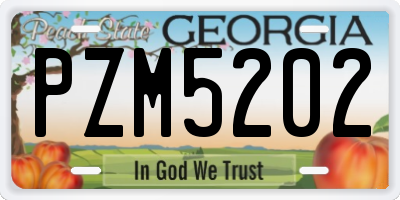 GA license plate PZM5202