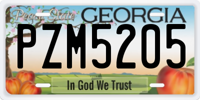 GA license plate PZM5205