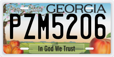 GA license plate PZM5206