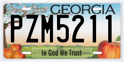 GA license plate PZM5211