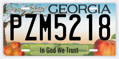 GA license plate PZM5218