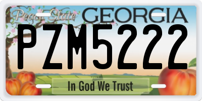 GA license plate PZM5222