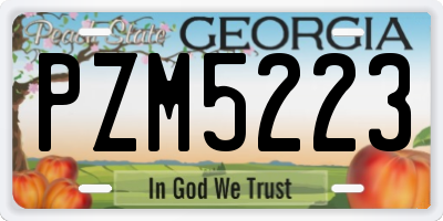 GA license plate PZM5223