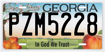 GA license plate PZM5228