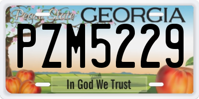 GA license plate PZM5229