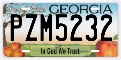 GA license plate PZM5232