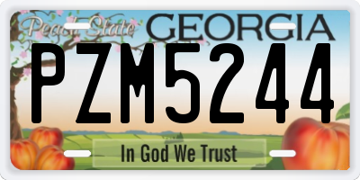 GA license plate PZM5244
