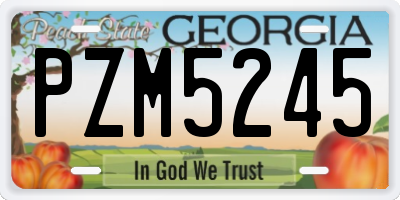 GA license plate PZM5245