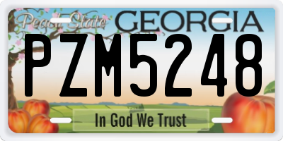 GA license plate PZM5248