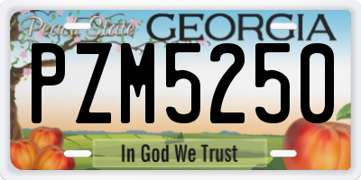 GA license plate PZM5250