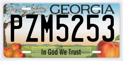 GA license plate PZM5253