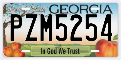 GA license plate PZM5254