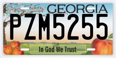 GA license plate PZM5255