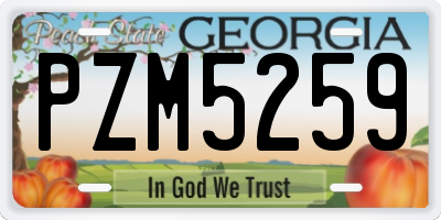 GA license plate PZM5259