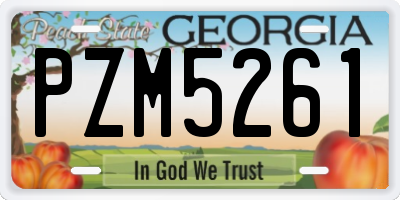 GA license plate PZM5261